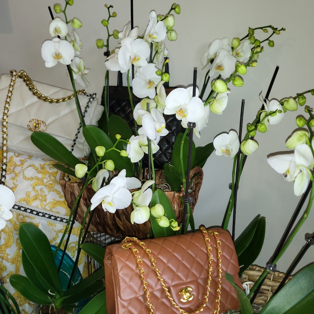 CHANEL Crossbody Bag